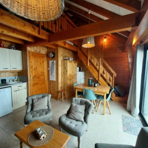 Résidence Means - Superbe T2 avec mezzanine pour 9 personnes sur la station du Réallon MAE-8001